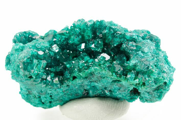 Emerald-Green Dioptase Crystal Cluster - Congo #366014
